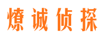 金家庄侦探公司